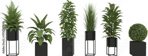 Vector Illustration Collection of Modern Potted Houseplants Featuring Fern, Topiary, and Lush Foliage in Black Minimalist Planters for Office Decor