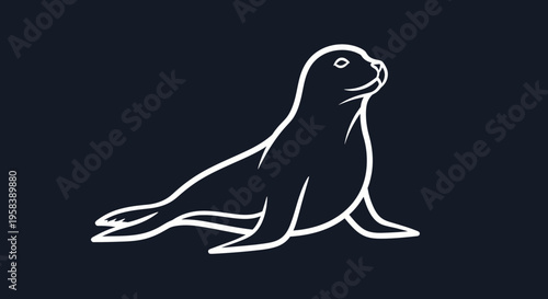 Minimalist white outline of a seal on a dark blue background elegant sea mammal illustration