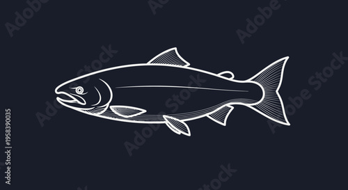 Stylized white line drawing of a salmon on a dark blue background minimalistic marine life