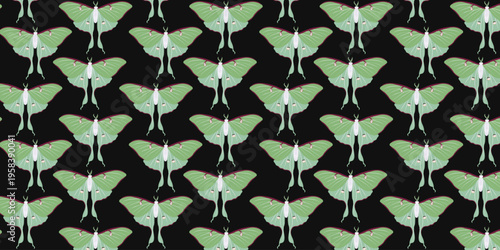 Seamless Pattern Luna Moth Green Nocturnal Insect with Long Tails