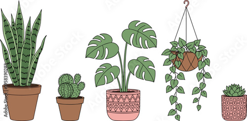 Vector Illustration Set of Five Potted Houseplants Featuring Snake Plant, Cactus, Monstera Deliciosa, Hanging Ivy, and Succulent for Home Decor