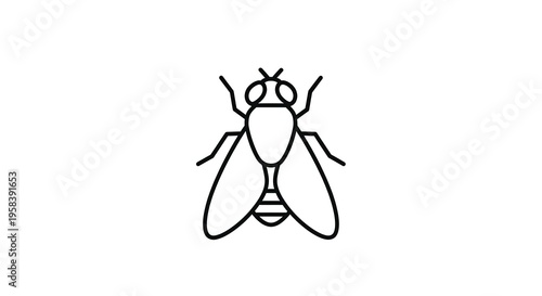 Minimalist fly icon