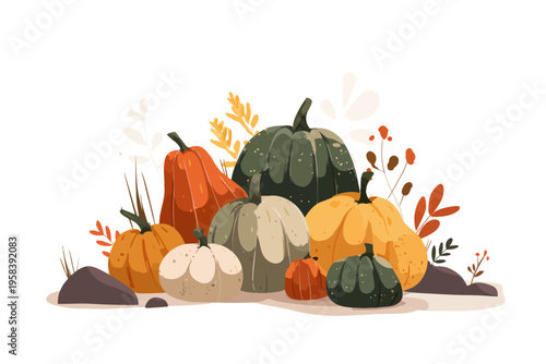 Colorful autumn pumpkins with autumn leaves and plants on white background