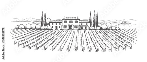 Hand drawn of a vineyard estate with rolling hills and cypress trees house building