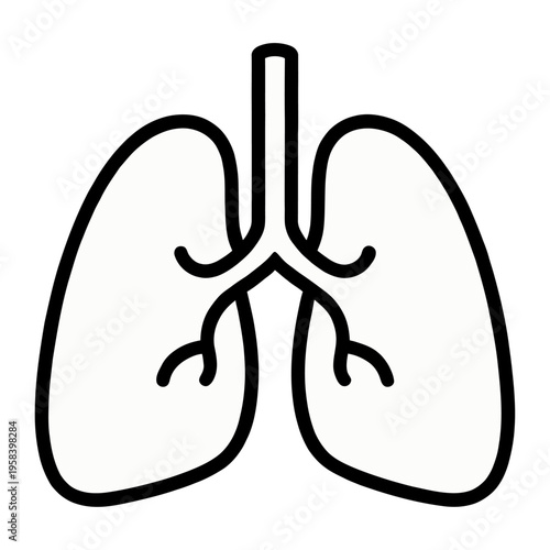 Vector of human lungs with trachea