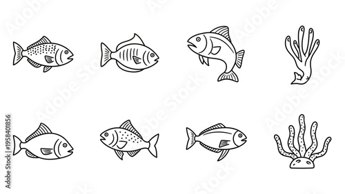 Collection of simple outlined aquatic life illustrations including fish and coral for educational