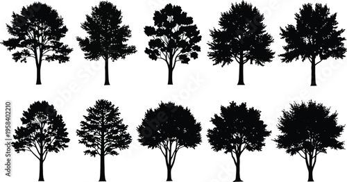 A collection of tree silhouettes against a white background