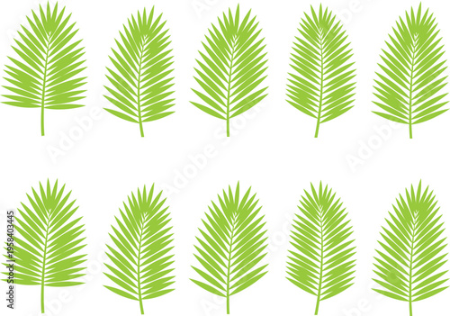 Tropical palm leaf vector set, 10 green palm frond icons in EPS format, summer botanical foliage elements for vacation branding