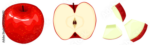 りんご　リアル寄り　セット