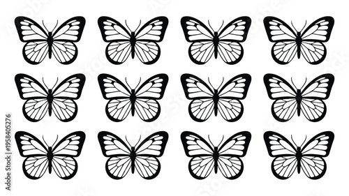 black and white butterflies in different positions on white background
