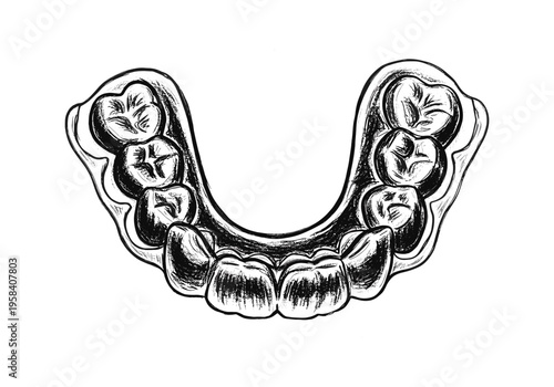 Hand drawn illustration of a dental retainer with teeth on a white background