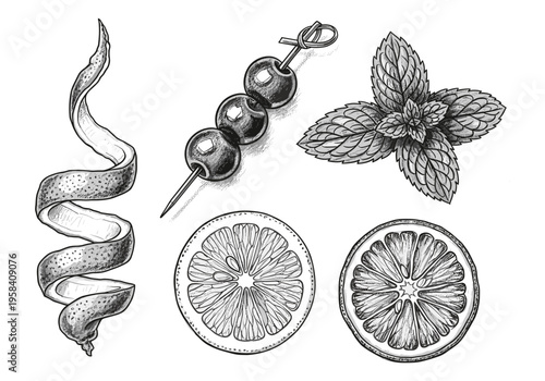 Hand-drawn cocktail garnishes including citrus peel, cherries, and mint leaves