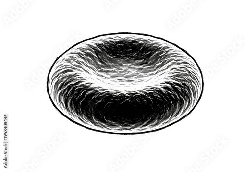 Detailed illustration of a single red blood cell with a biconcave shape