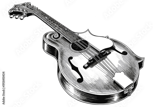 Detailed illustration of a classic mandolin with f-holes and tuning pegs