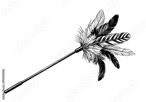 Elegant feather duster illustration with detailed ink drawing on a white background