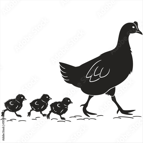 Black silhouette of a mother hen followed by five little chicks walking in a row