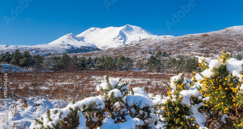 Beinn Eighe, Torridon, Wester Ross, Scotland, UK