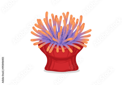 Vibrant sea anemone with colorful tentacles on a clean white background