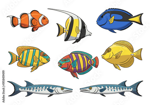 Collection of colorful tropical and predatory fish illustrations on white background