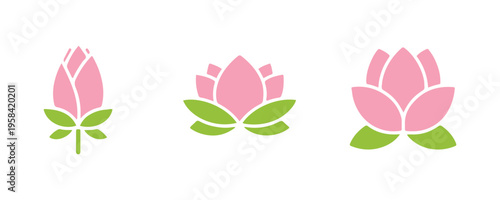 Symbols and icons of the lotus blossom