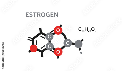 Estrogen (Estradiol) C18H24O2 molecular structure diagram with labels in minimalist style.