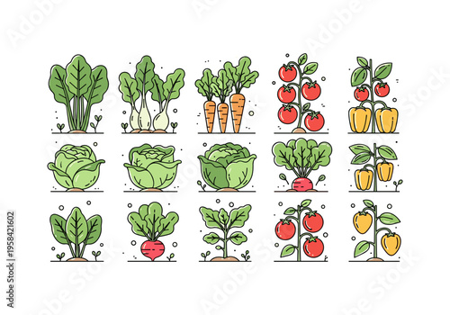 Collection of fresh vegetables growing in a garden, illustrated in a clean, modern style
