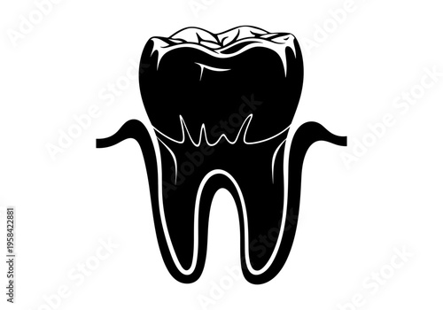 Stylized black and white illustration of a healthy human tooth with roots