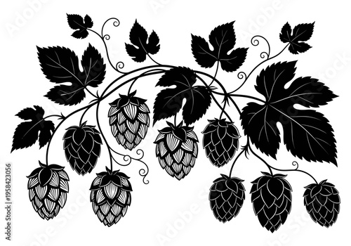 Stylized black and white illustration of hop cones and leaves on a vine