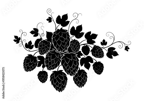 Black silhouette of hop cones and leaves on a white background