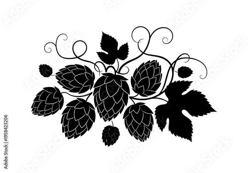Black silhouette of hop cones and leaves on a white background