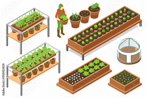 Isometric illustration of a gardener and various plant growing containers