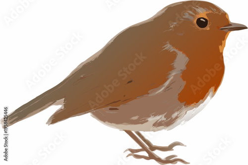 A charming illustration of a european robin perched and facing right
