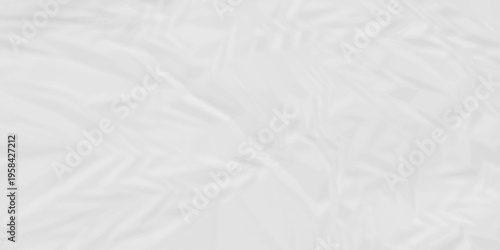 Creased paper parchment white blank page detail wrinkle blank white canvas. old paper crumple texture wrinkle. parchment empty letter texture.