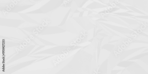 Creased paper parchment white blank page detail wrinkle blank white canvas. old paper crumple texture wrinkle. parchment empty letter texture.