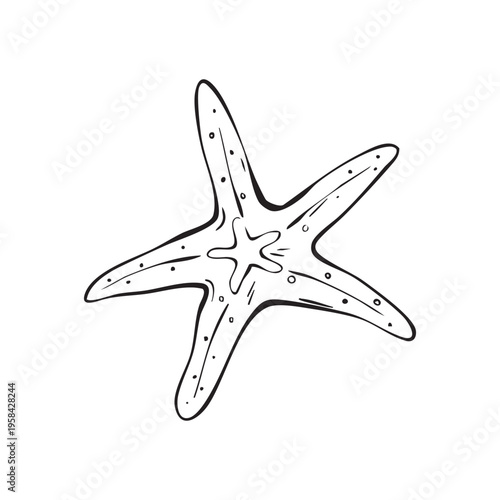 Starfish line art illustration isolated on white background