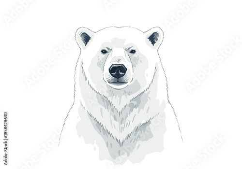 Close-up illustration of a majestic polar bear's face with intense eyes and detailed fur