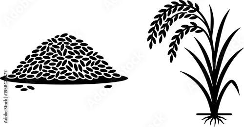 Agriculture and organic food icon set featuring simple black silhouettes of a rice plant and a pile of grains – Black and White Vector Illustration