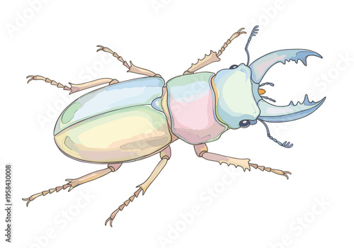Illustration of a colorful stag beetle with large mandibles on a white background
