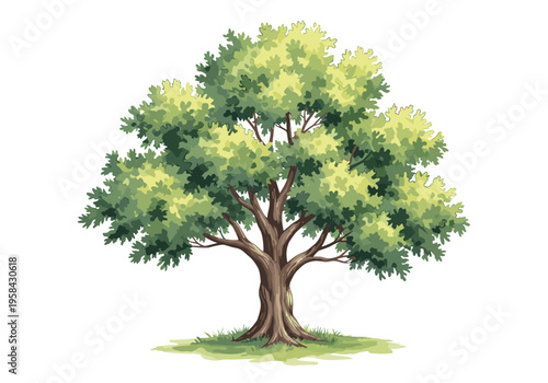 A majestic, mature oak tree with lush green foliage stands tall on a grassy knoll