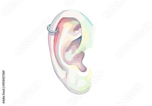 Stylized illustration of a human ear with a silver hoop piercing on the helix