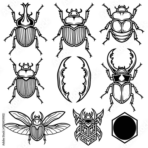 Detailed Beetle Insects and Creative Bug Graphics