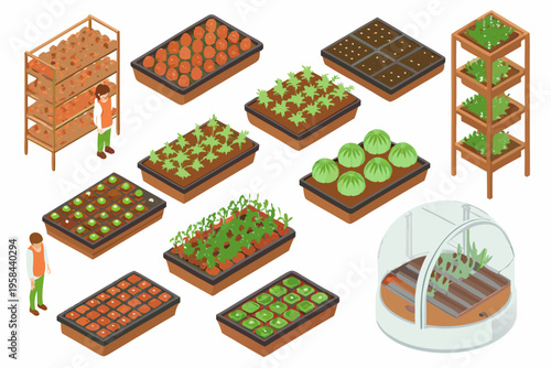 Isometric illustration of various stages of plant growth and farming setups