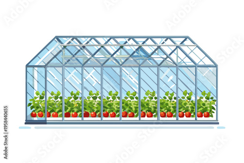 A cartoon depiction of a greenhouse filled with tomato plants