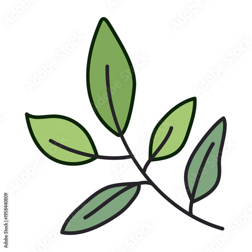 Vector illustration of fresh green tea leaves on branch. Botanical drawing of herbal plant for tea production. Organic ingredient, nature eco design element, healthy nutrition concept
