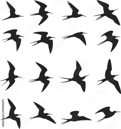 Black silhouette set of flying frigatebirds and seagulls isolated on white background, ocean sea bird icons for nautical design, summer beach travel elements vector.