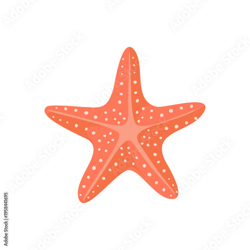 Cute orange starfish. Adorable sea star on white background. Perfect for summer, beach, ocean and nautical design. Flat vector illustration.