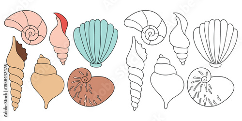 Hand-drawn cartoon and doodle set of seashells on a white background.
