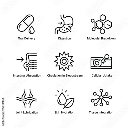 Set of Icons Illustrating Biological and Medical Processes.