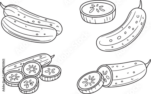 Fresh cucumbers and sliced gherkin rounds set in monochrome line art style for food menu design use. Vector illustration