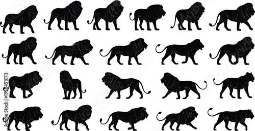 Black Lion Silhouette Vector Set with Male and Female Lions in Various Walking Standing and Prowling Poses for Wildlife Design